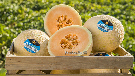 Melon - USA Pure Sweetness Melon