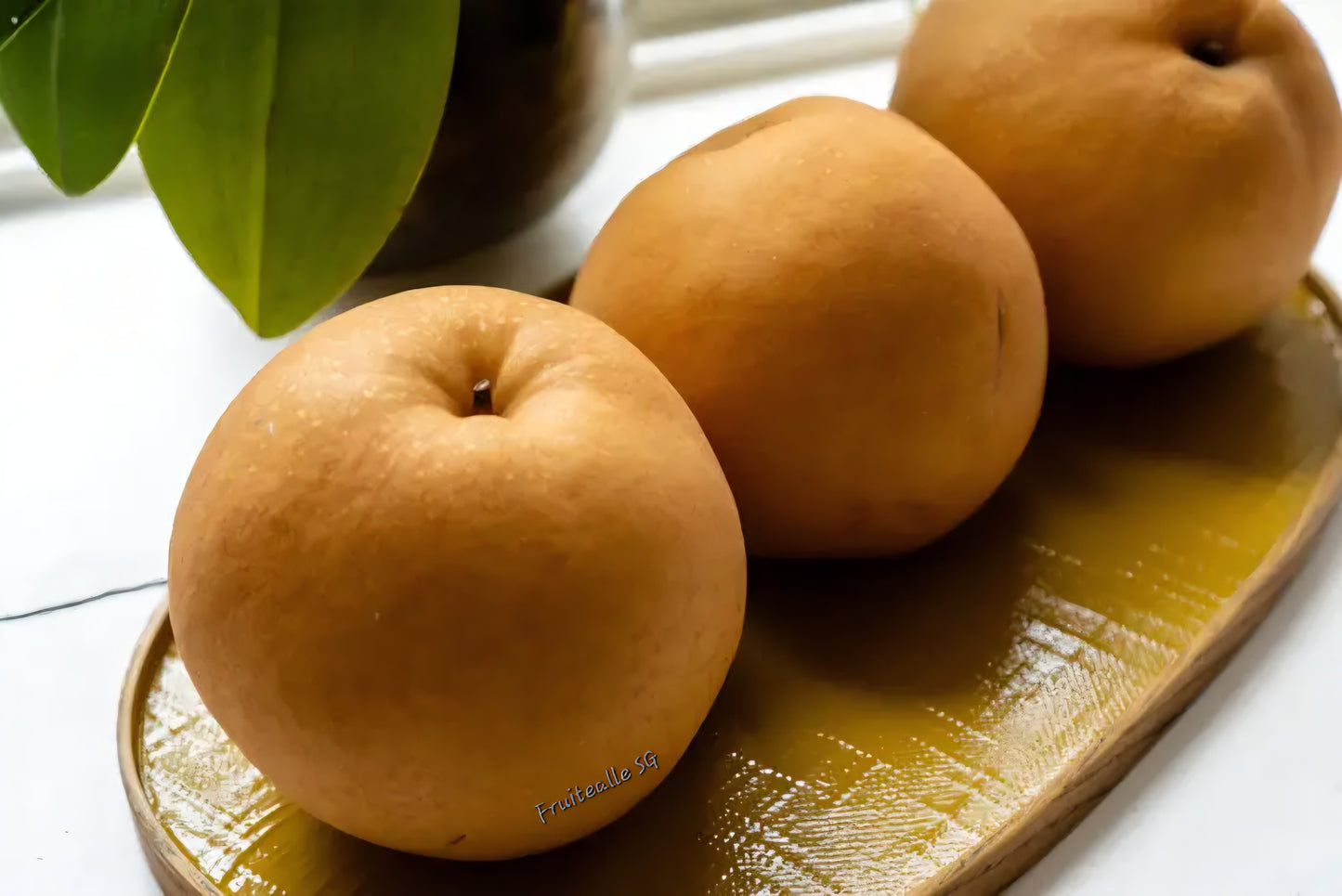Pear - Young Wha Asian Brown Pear 젊은 화 | Large Size