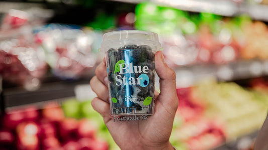 Blueberry - Jumbo Sweet Blueberries [BlueStar] | 125gm (18mm Jumbo)