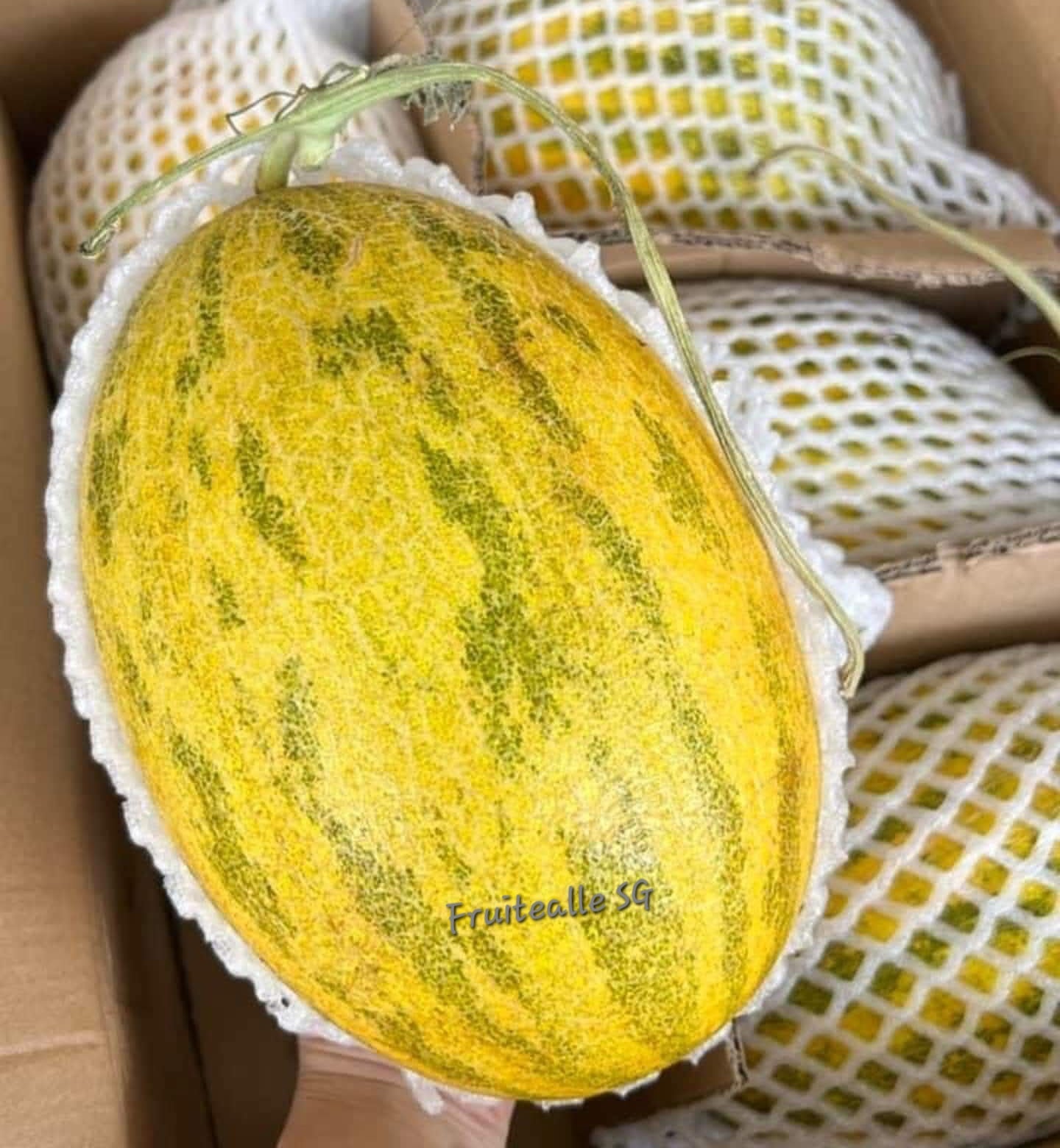 Melon - Hami Melon | Ba Liu Wang 八六王