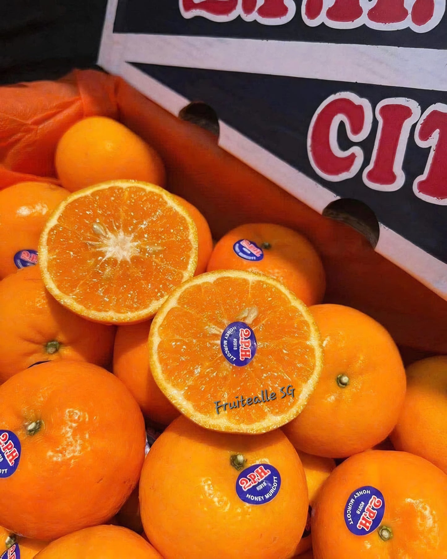 Oranges - Honey Murcott Oranges | 2PH Orchard
