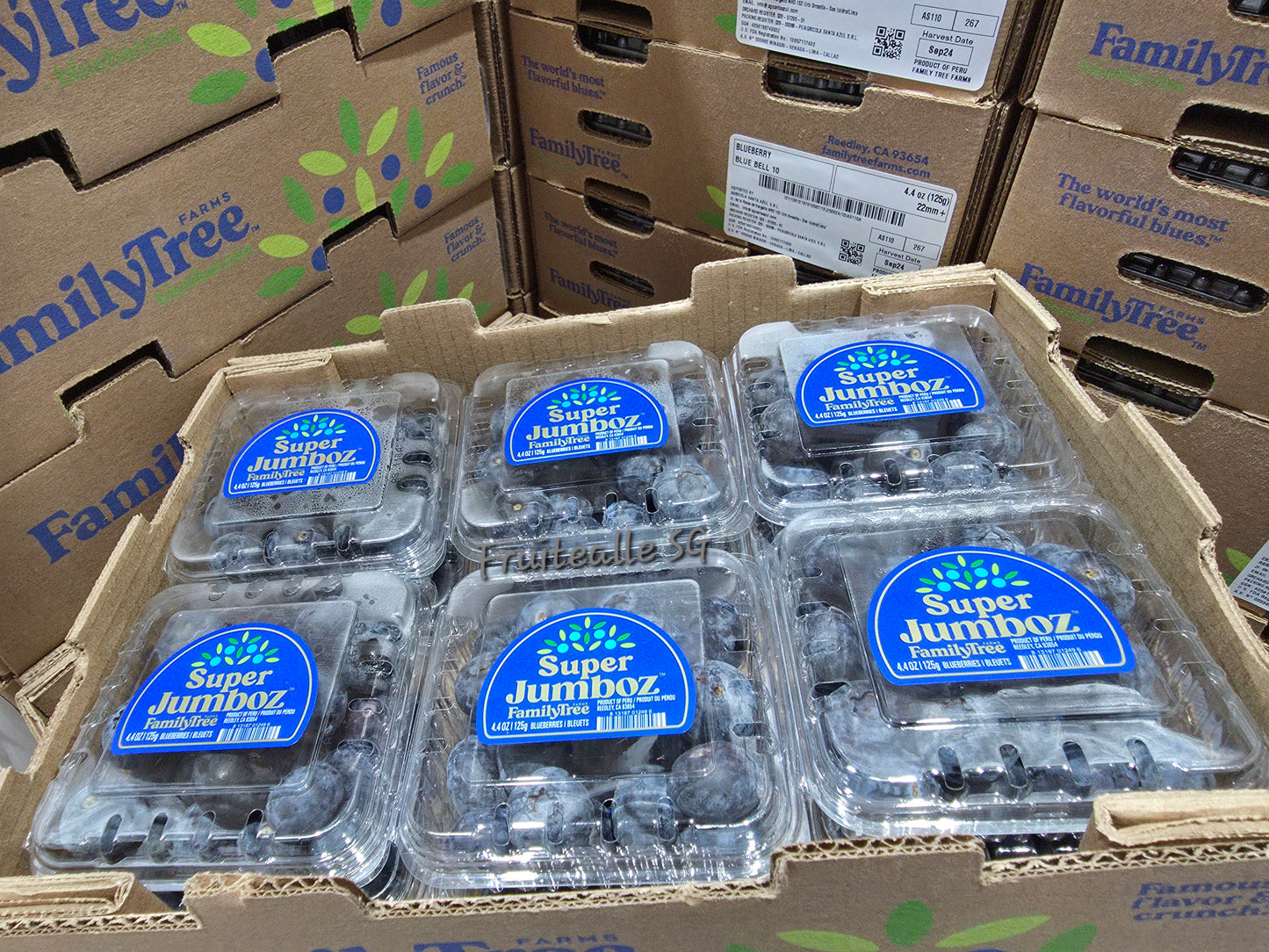 Blueberry  - Super Jumboz Blueberry 125gm [FamilyTree Farm] | Peru Blueberries