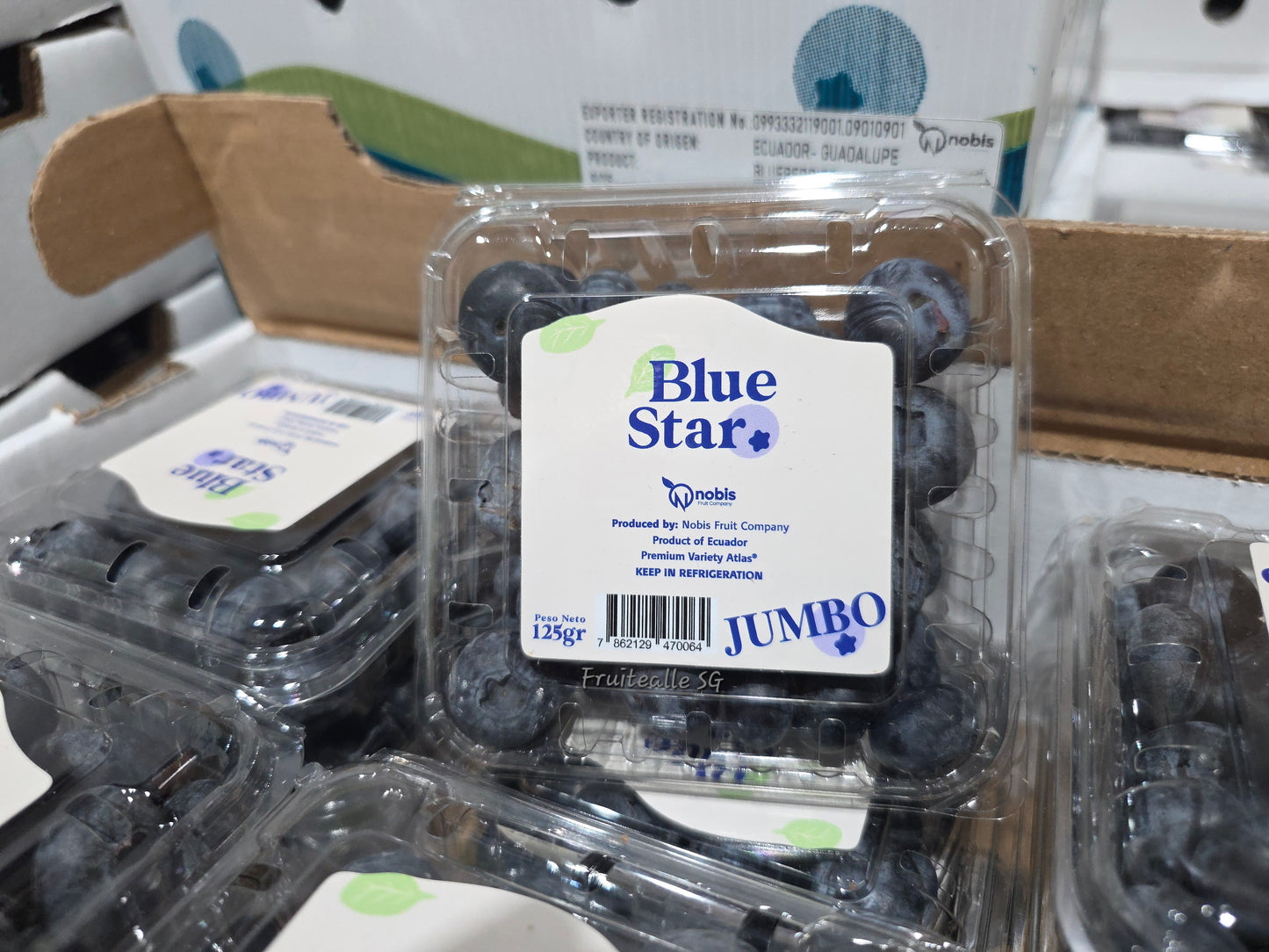 Blueberry - Jumbo Blueberry 125gm [BlueStar] | Ecuador (Size 14mm)