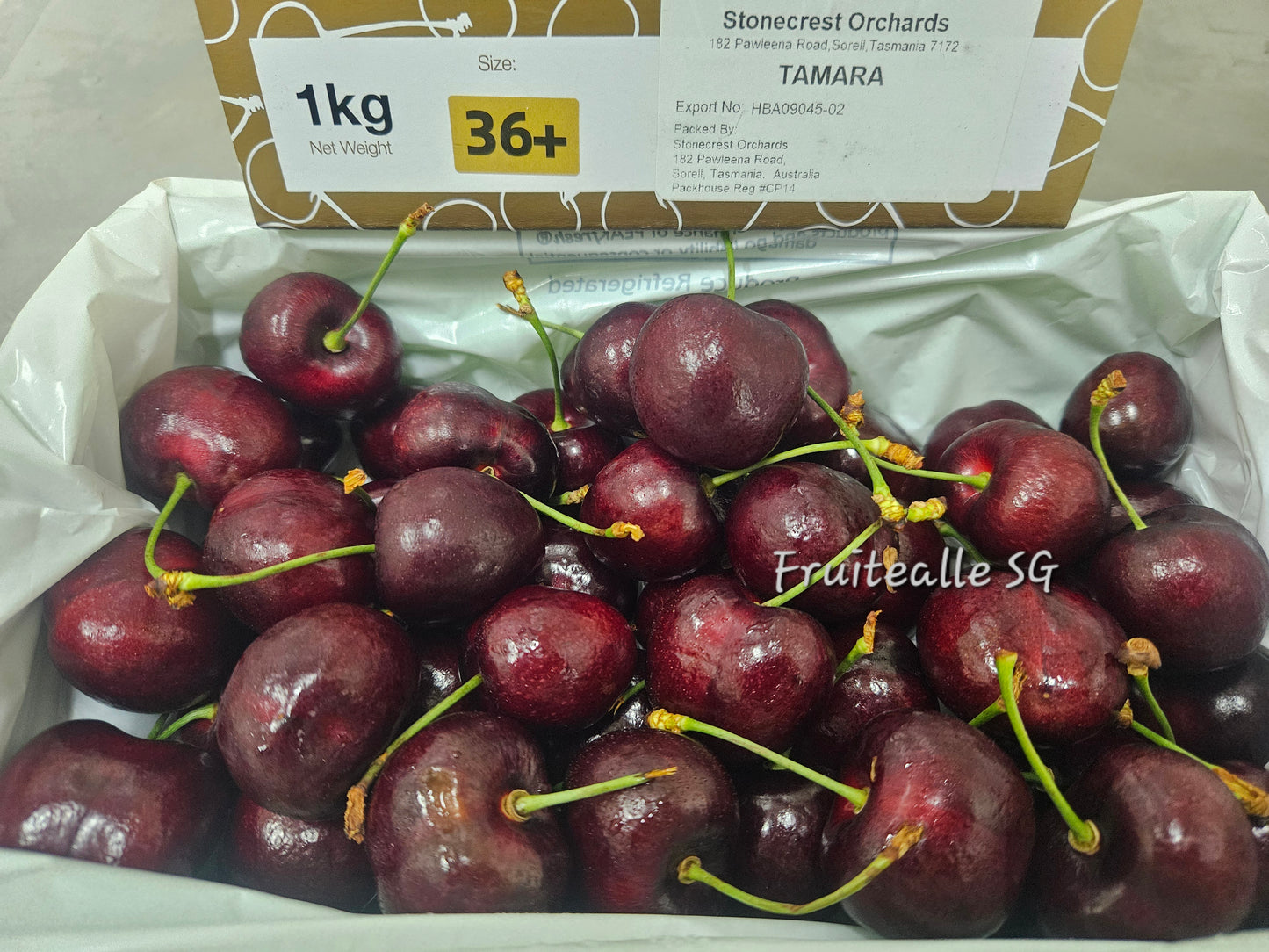 Cherry - Tasmania, Aust Red Cherries | Bourbon Creek Orchards | 36mm++ & 38mm++ 【Super Jumbo】 [Premium Sweet]