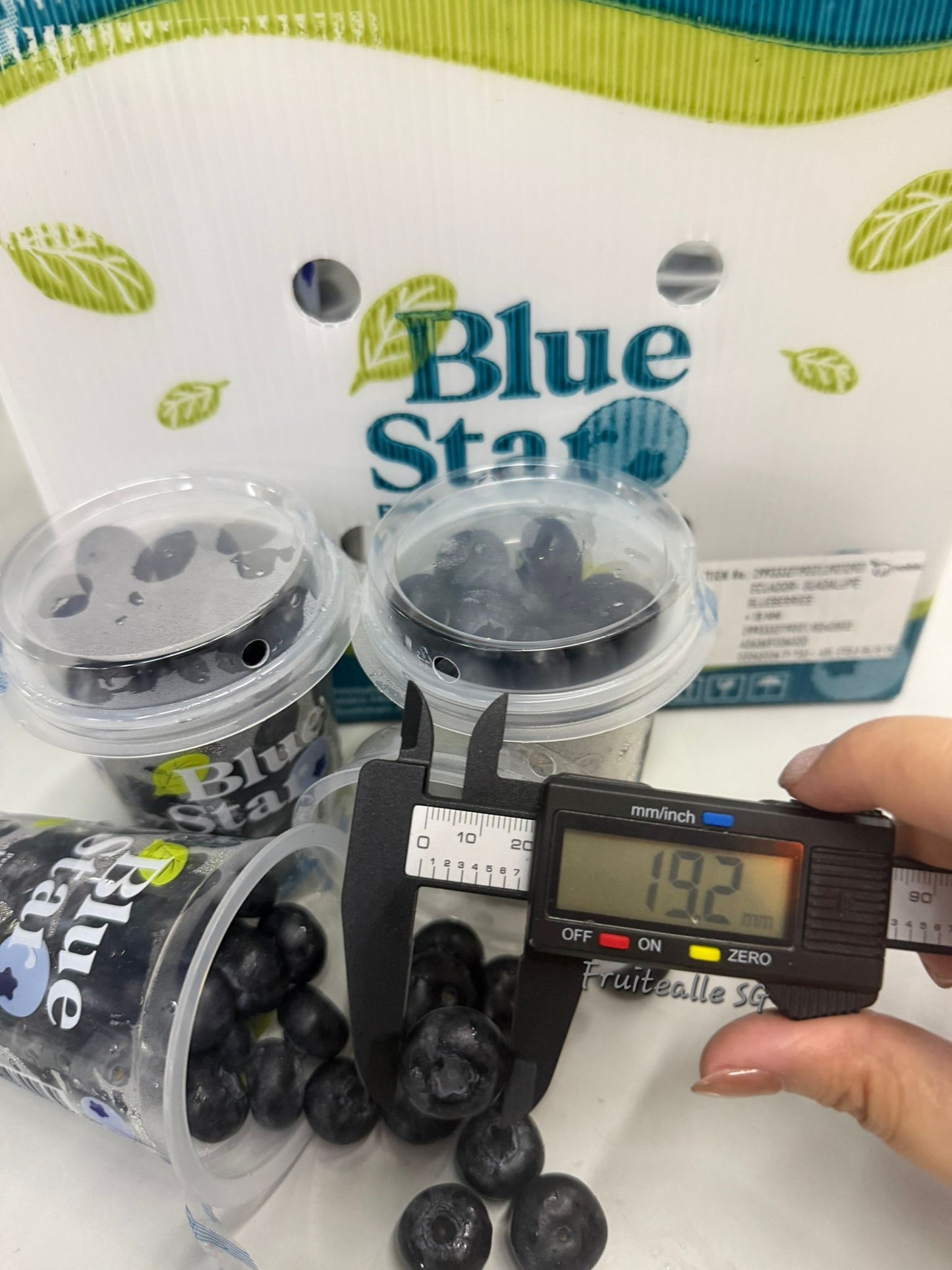 Blueberry - Jumbo Sweet Blueberries [BlueStar] | 125gm