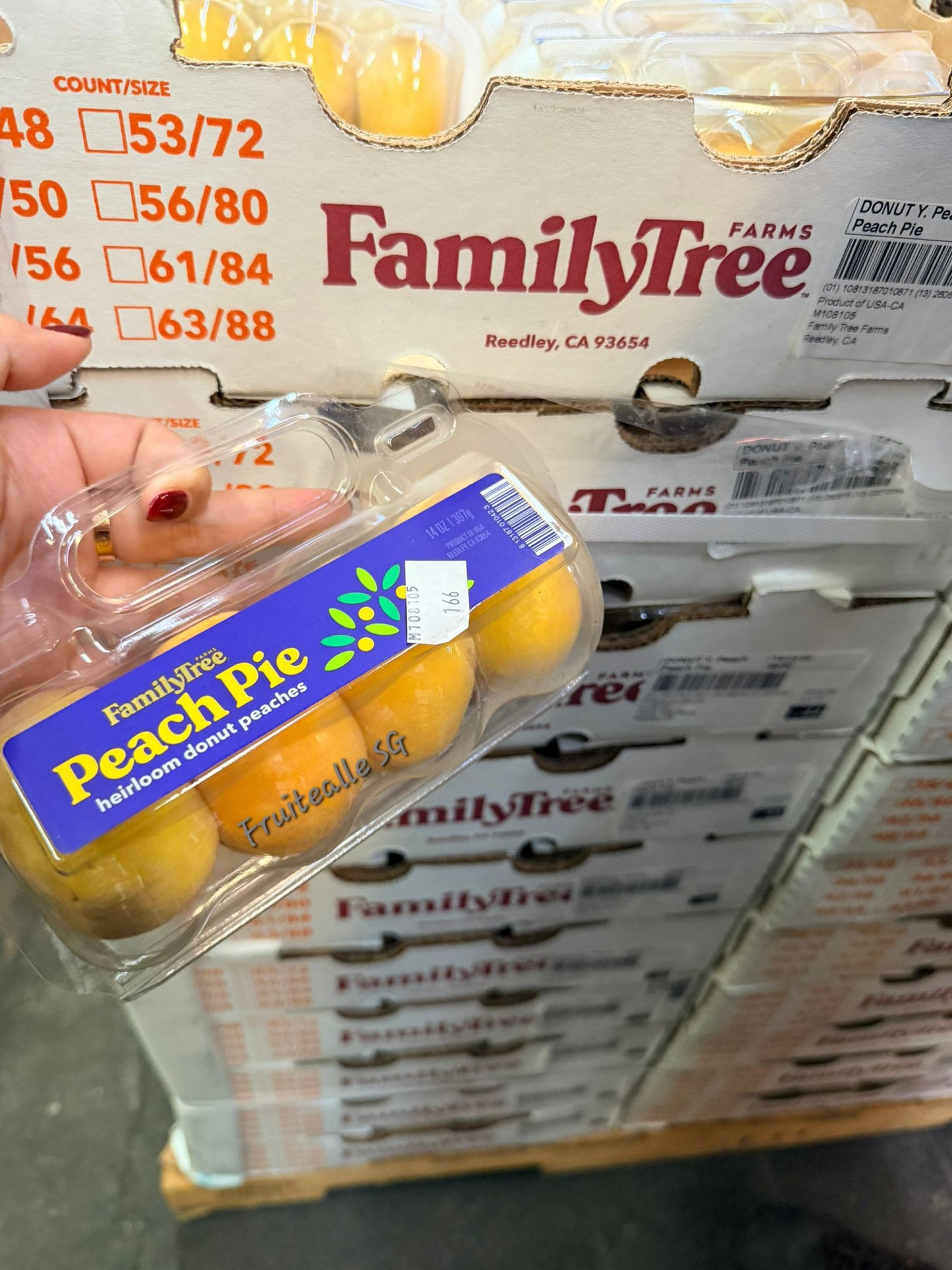 Peaches - USA Yellow Donut Peaches | Family Tree Orchard