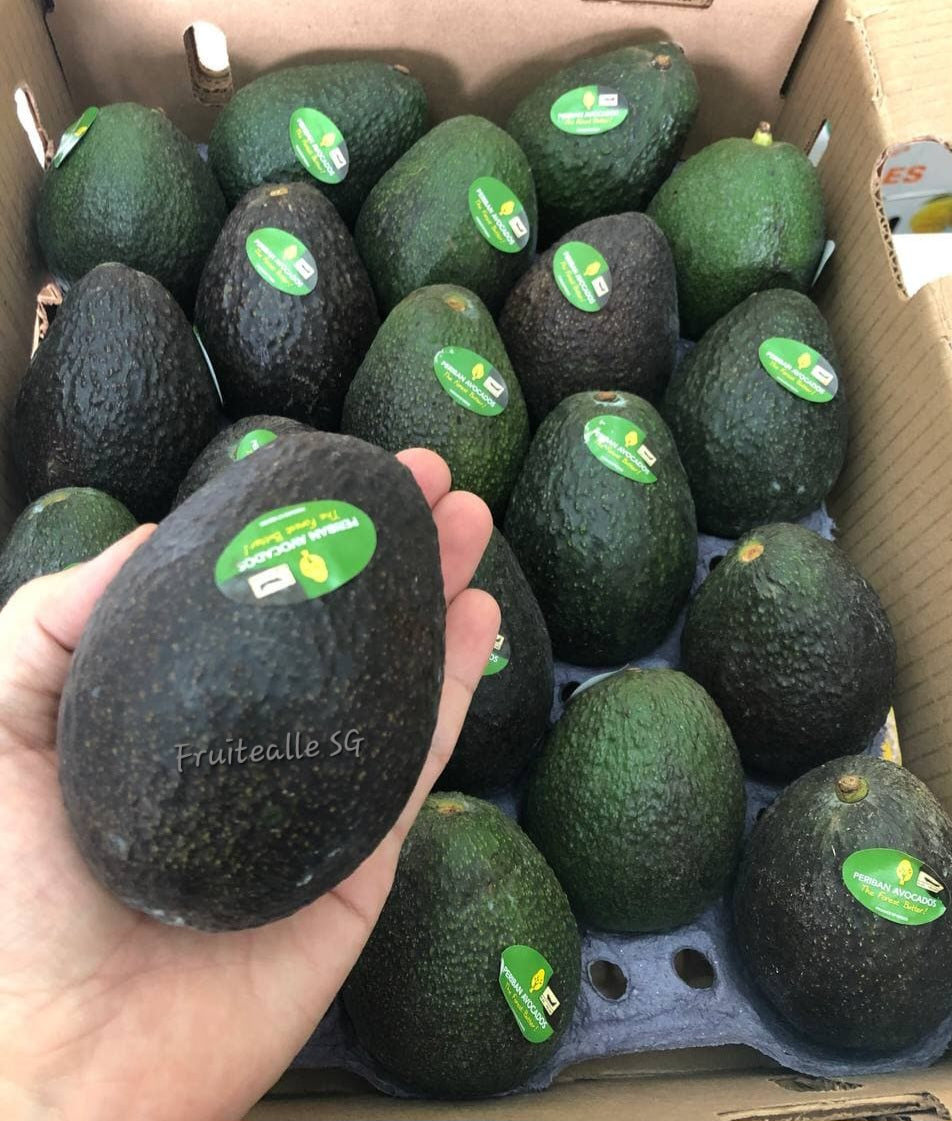Avocado - Hass Variety | Jumbo | Mexico
