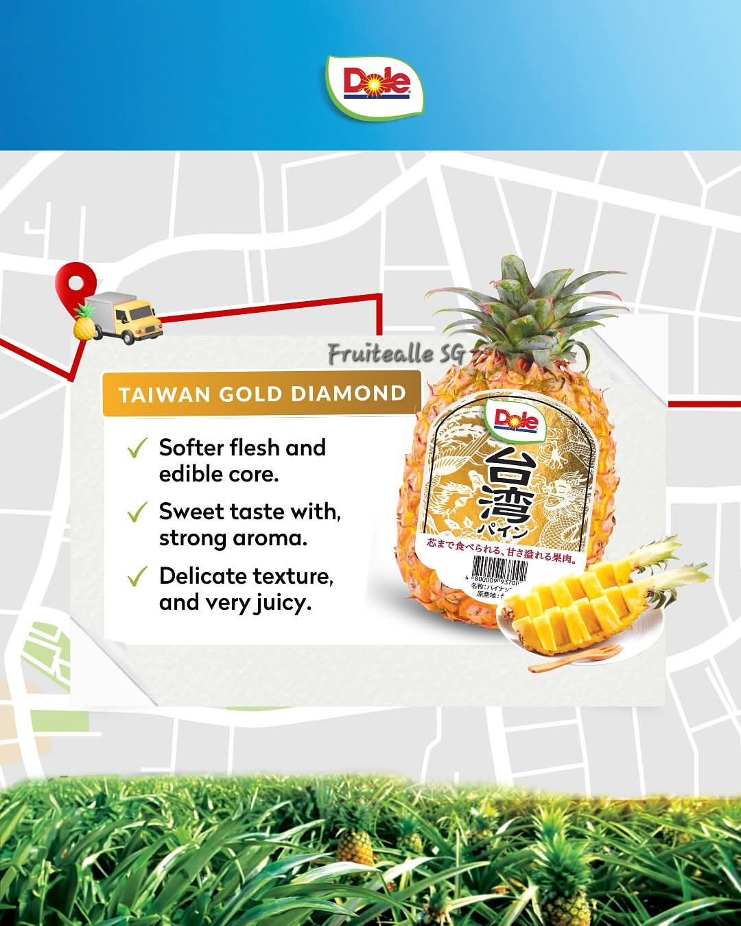 Pineapple - Dole Taiwan Honey Pineapple | 台灣鳳梨 (屏東市)