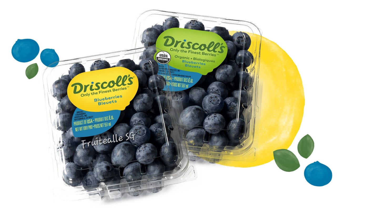 Blueberry - Jumbo [Driscoll's] Blueberries 125gm | Driscoll's Peru