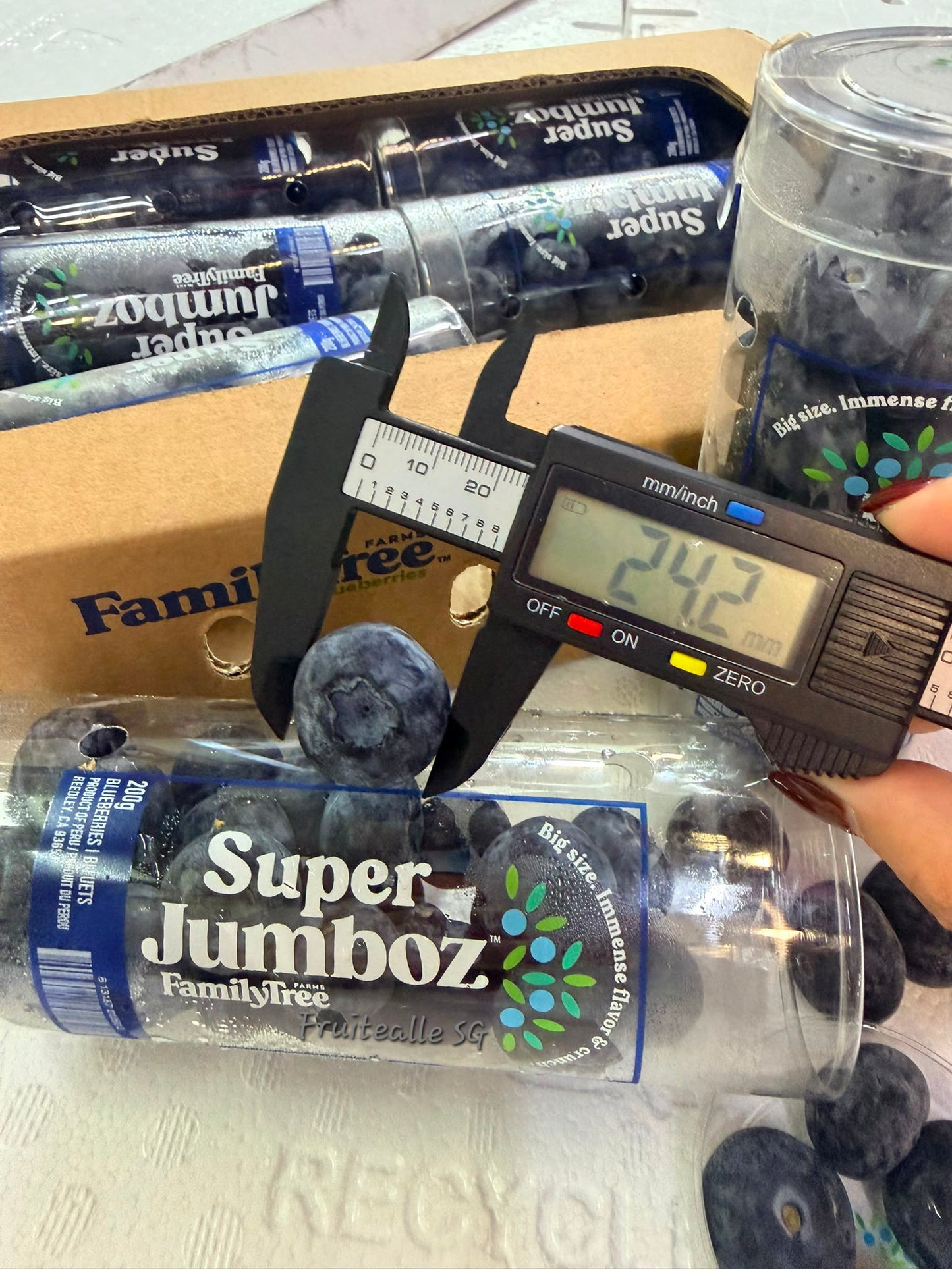 Blueberry  - Super Jumboz Blueberry 200gm [FamilyTree Farm] | Peru Blueberries