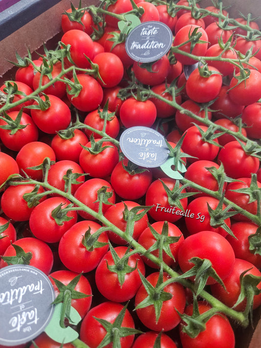 Tomato - Cherry Tomato on Vine | From Holland