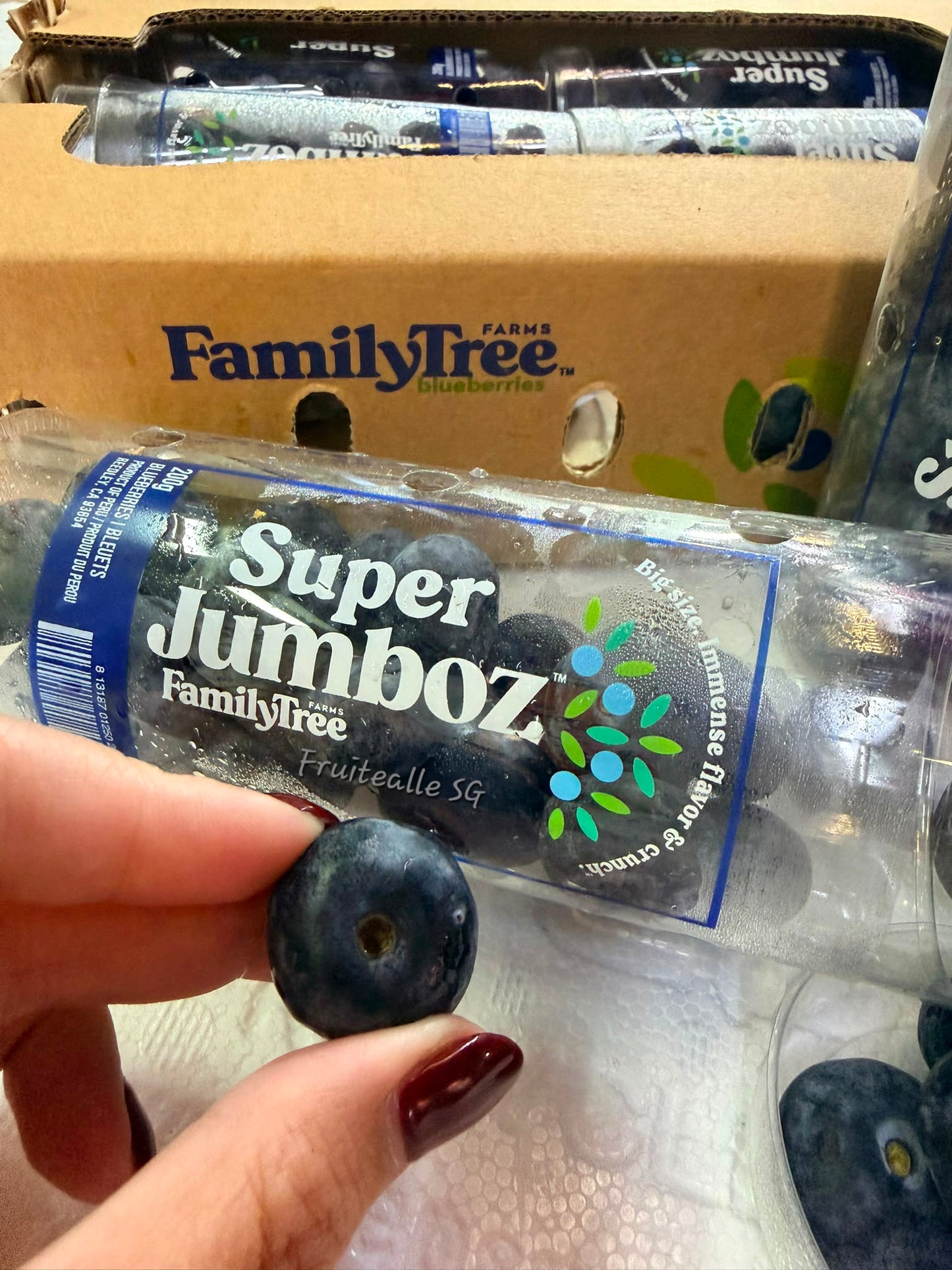 Blueberry  - Super Jumboz Blueberry 200gm [FamilyTree Farm] | Peru Blueberries