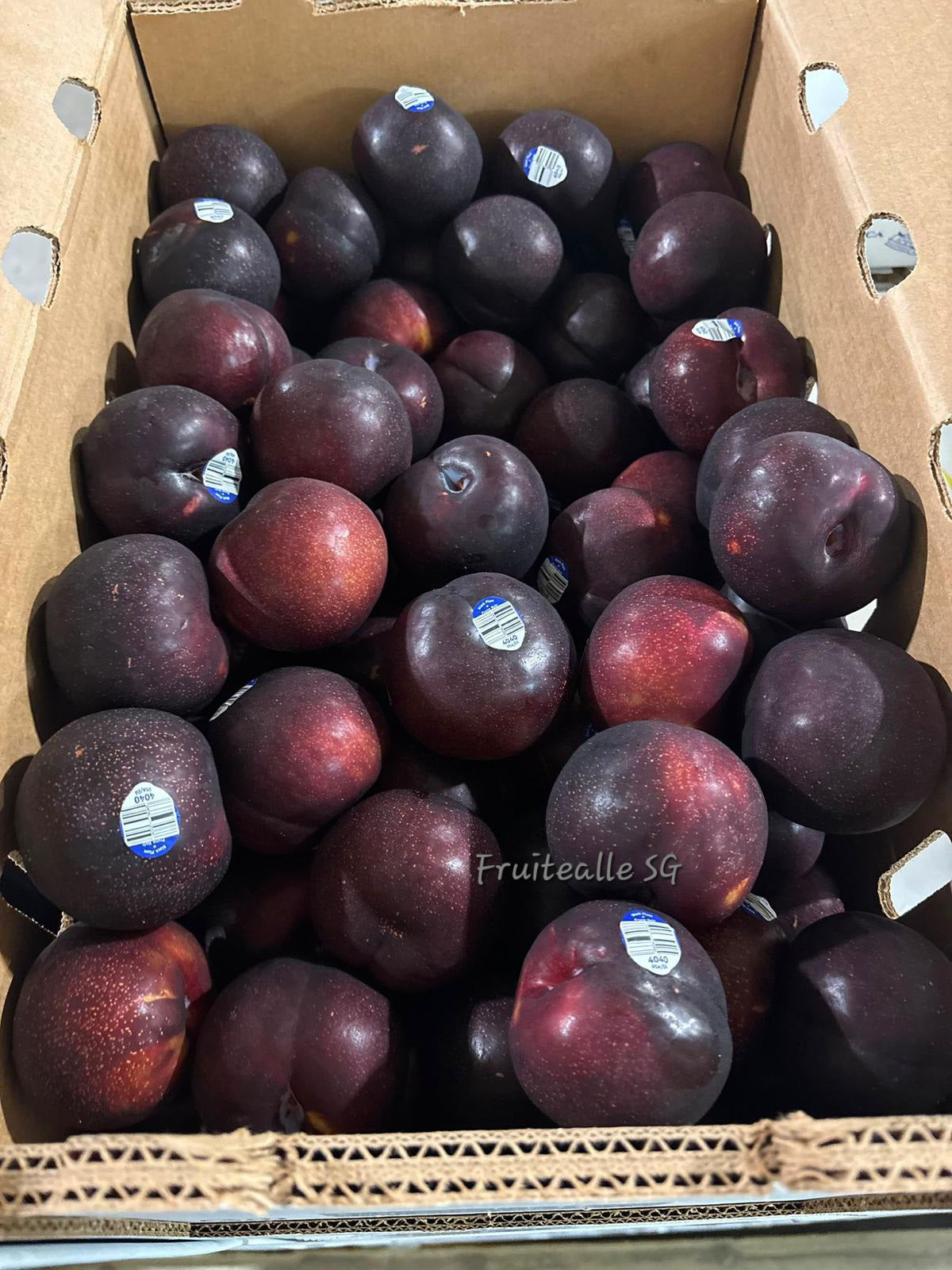 Plums - USA Black Plums