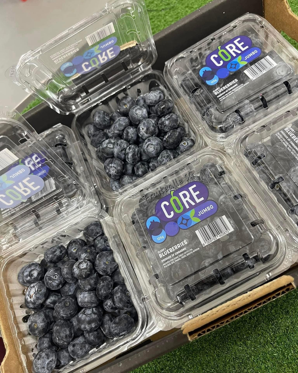 Blueberry - Jumbo [18mm+] Blueberries 125gm | CORE Farm