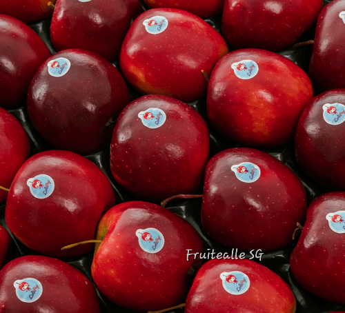 Apple - LoliPop® Apple | France