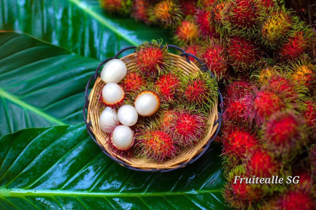 Rambutan - Sweet Rambutan | 红毛丹