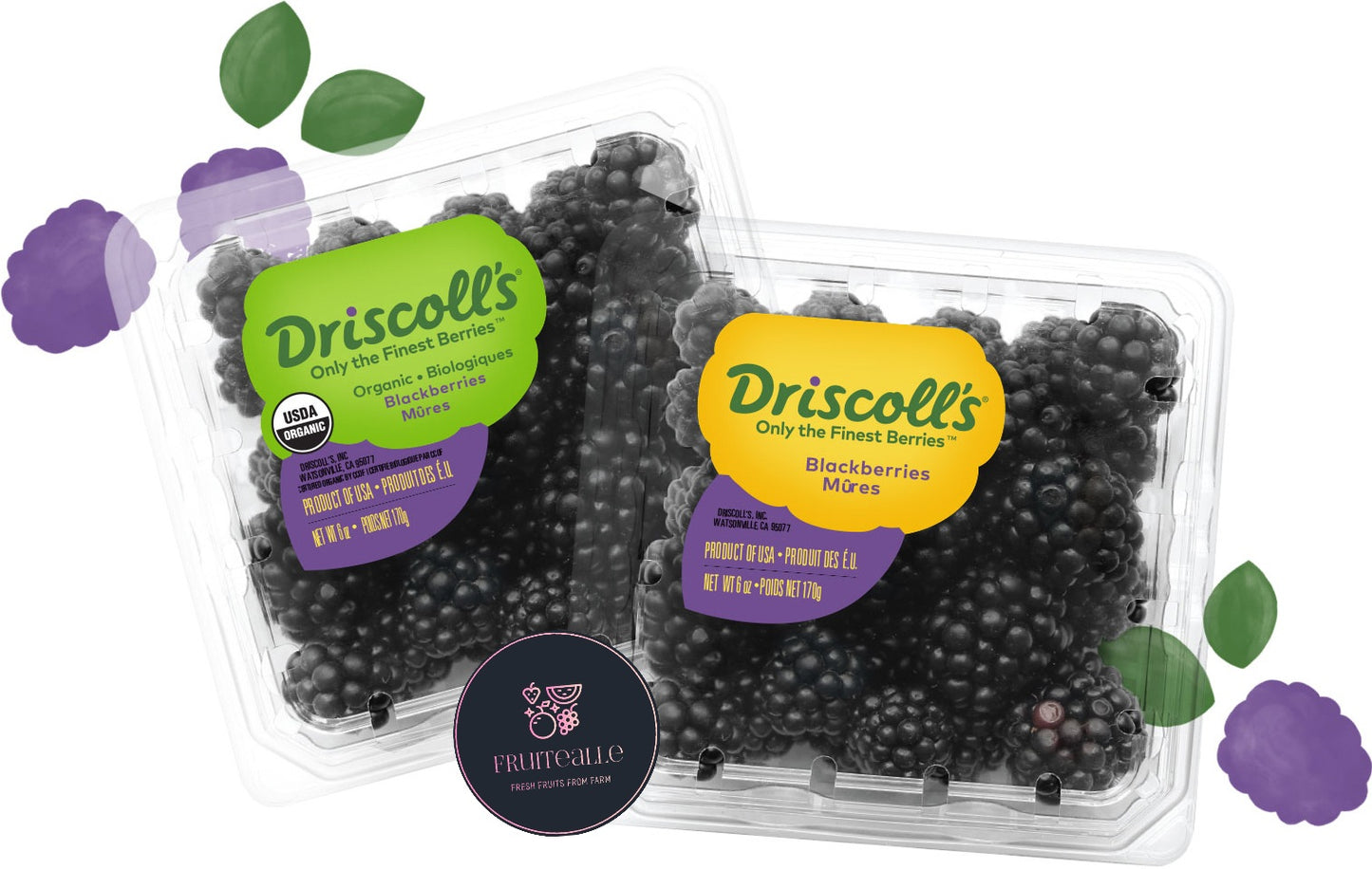 Blackberry - Driscoll's Blackberries