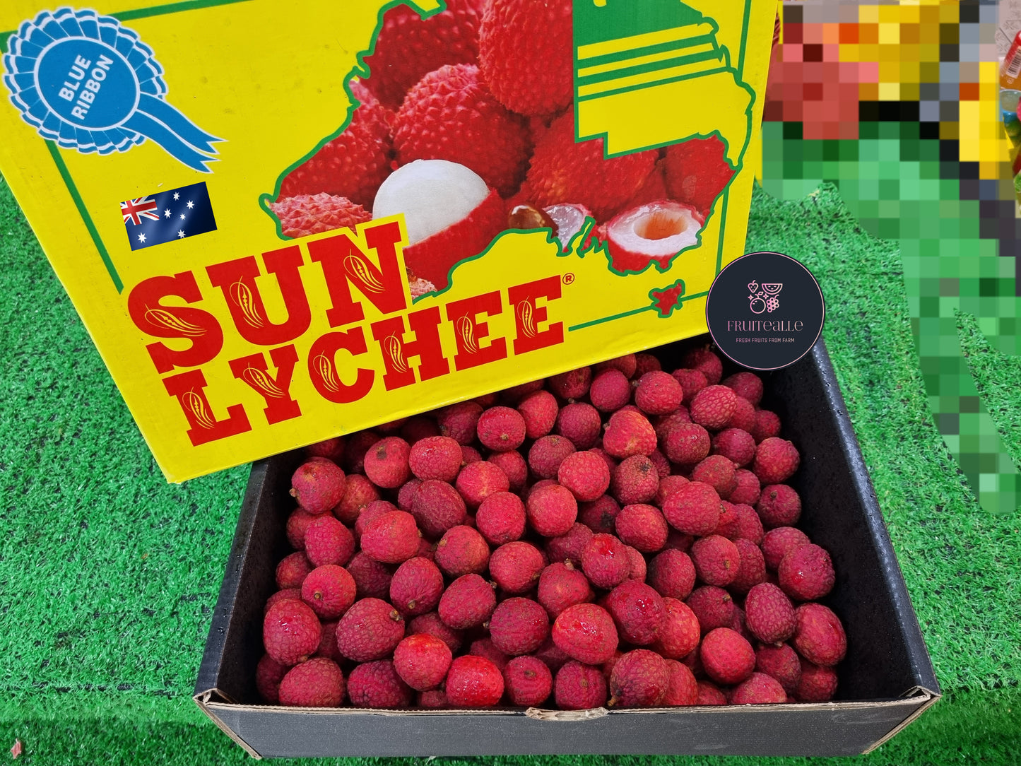 Lychee - Australia Sweet Litchi/ Lychee [Sun Lychee]