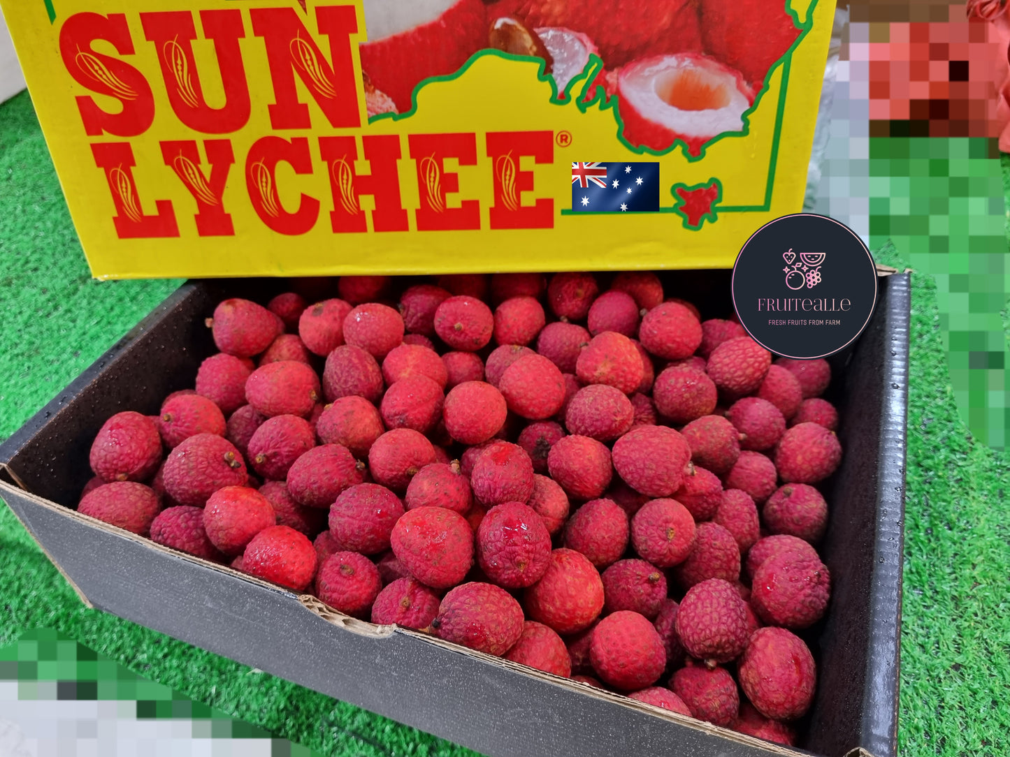 Lychee - Australia Sweet Litchi/ Lychee [Sun Lychee]