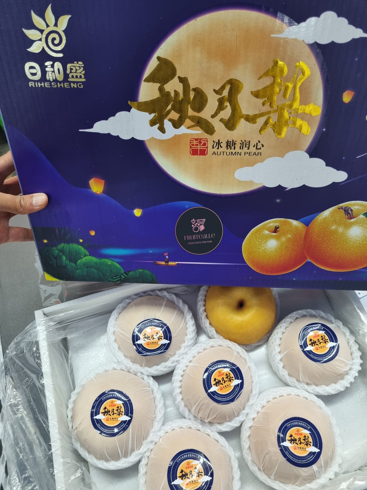 Pear - Qiu Yue Honey Pear 秋月梨 | Size R [Korea Variety]