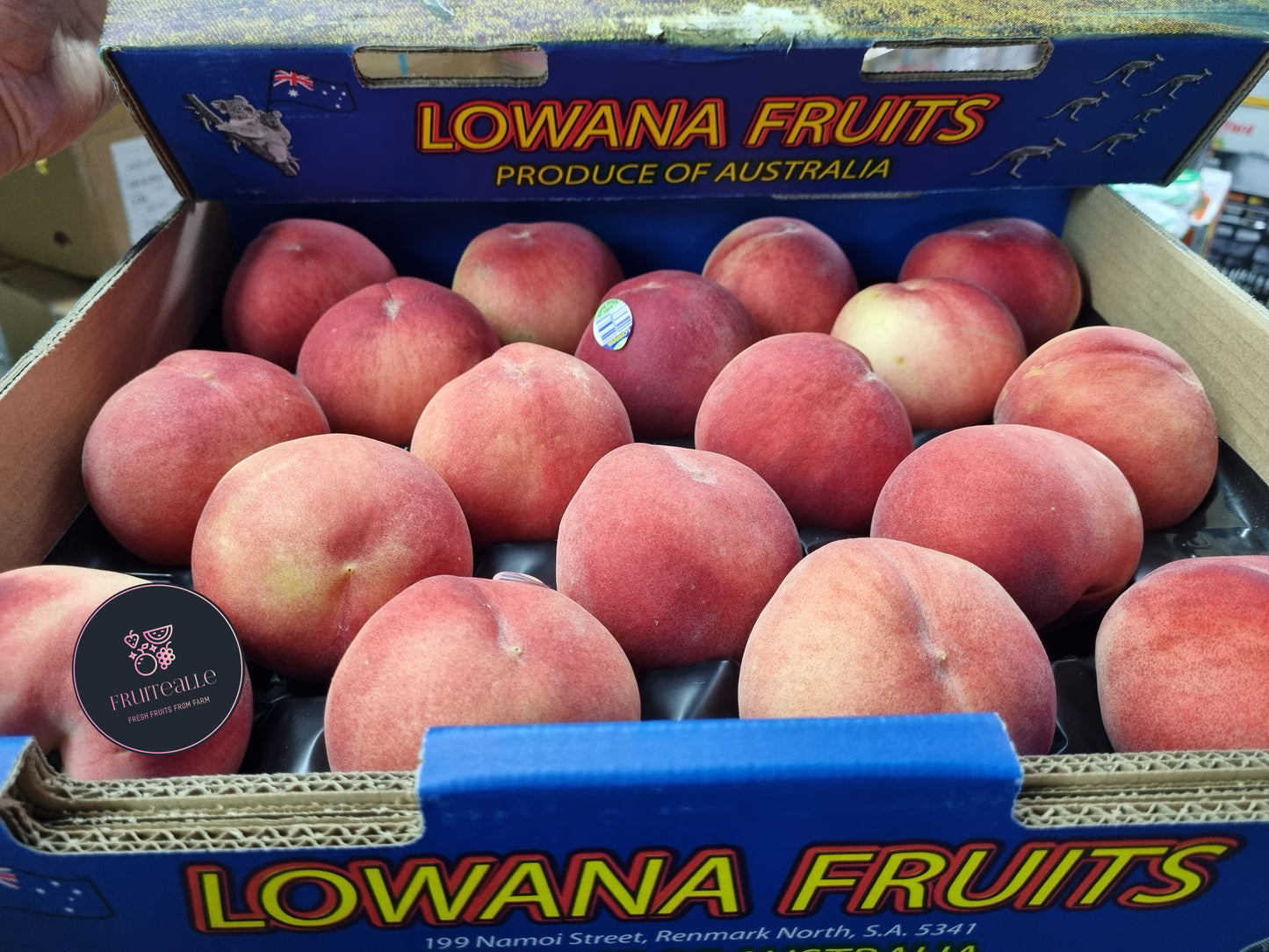 Stone Fruit - Australia White Peaches | Lowana | Medium Large Size