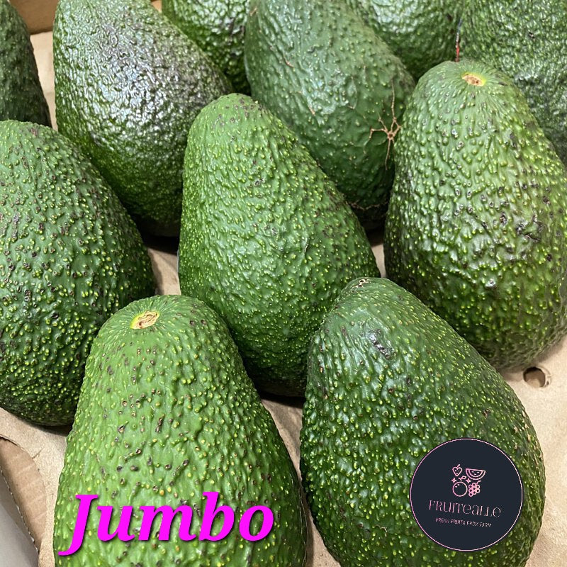 Avocado - Hass Variety (Jumbo Size)