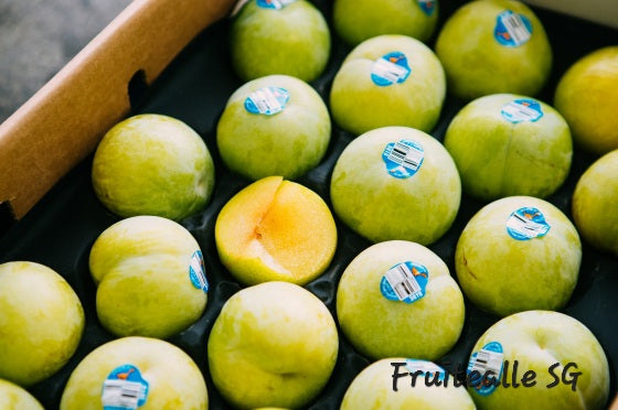 Plums - USA Flavour Queen Plum | Dino Orchards