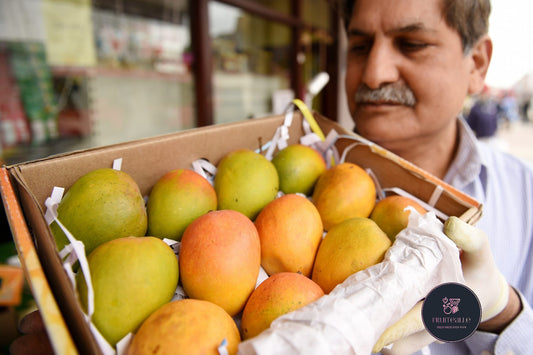 Mango - India Alphonso Mango