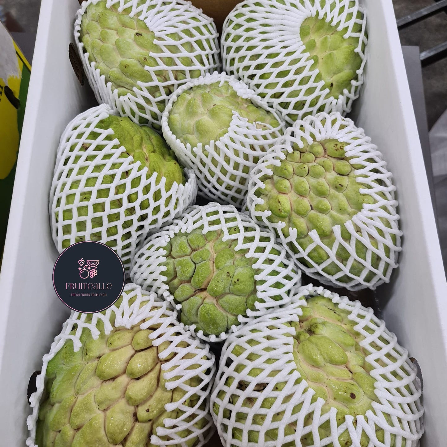 Custard Apple - Australia | Regular Size