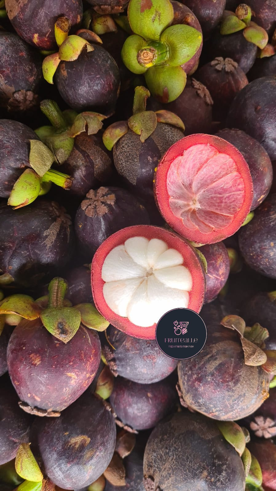 Mangosteen - Japan Variety Sweet Mangosteen