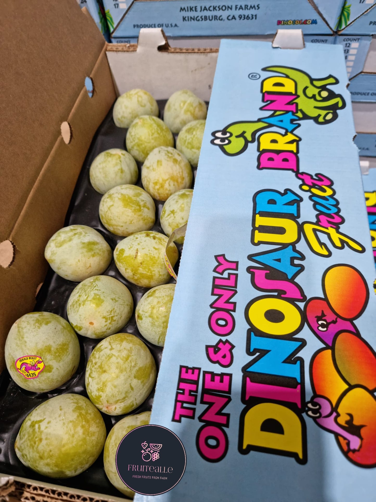 Plum - Emerald Beaut Sweet Plum | (Dinosaur Eggs From Dinosaur Brand® Farm)