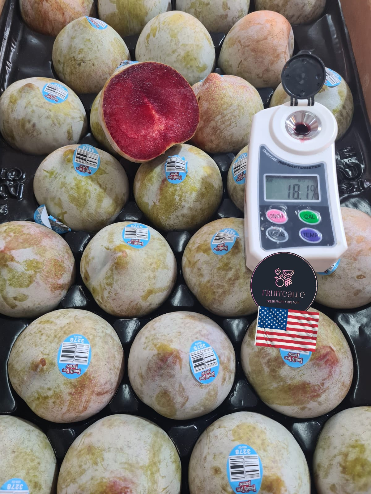 Plum - USA Flavor Gato™ | Family Tree Orchards