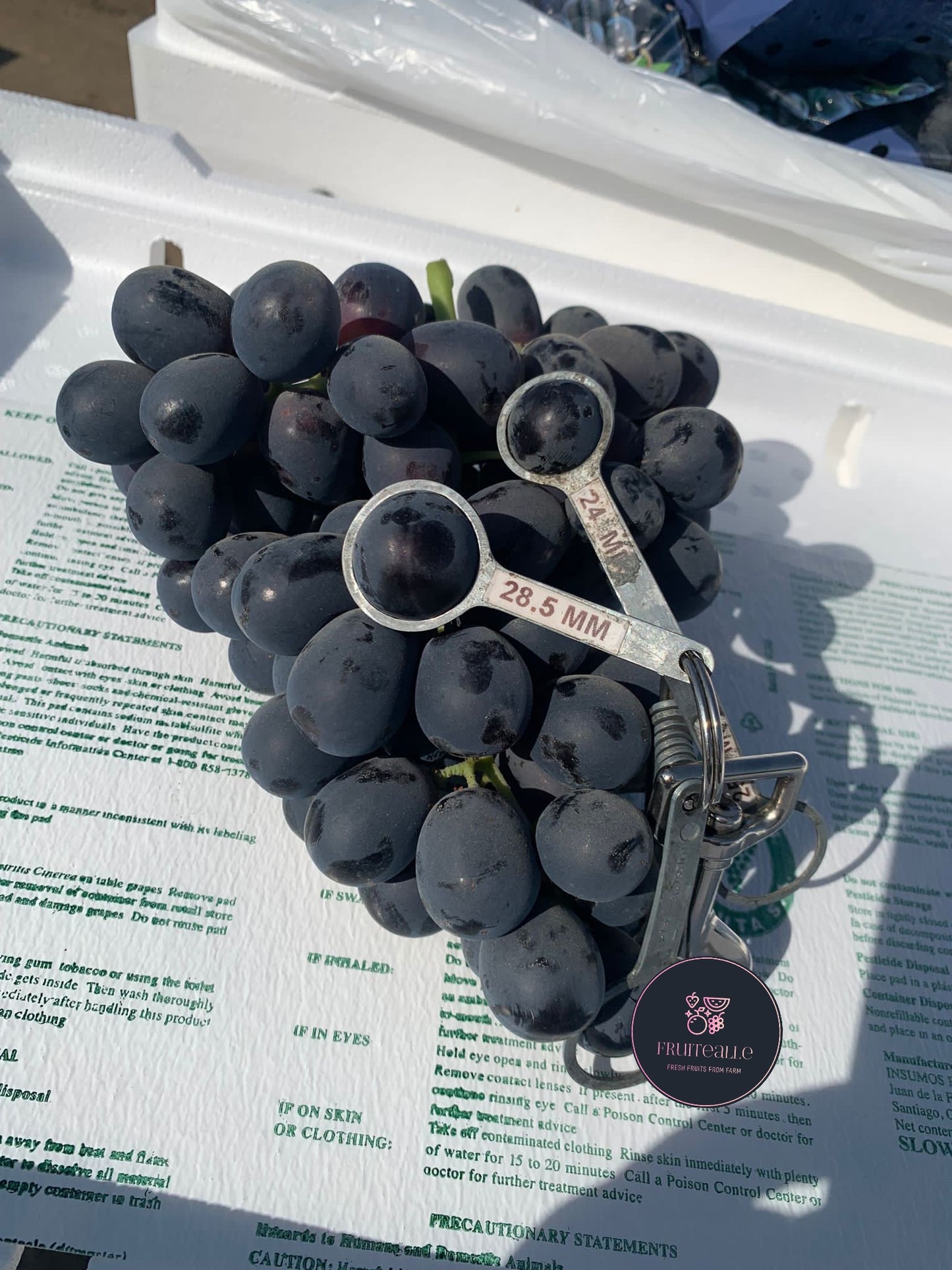 Grapes - Black Seedless [Adora®] | USA
