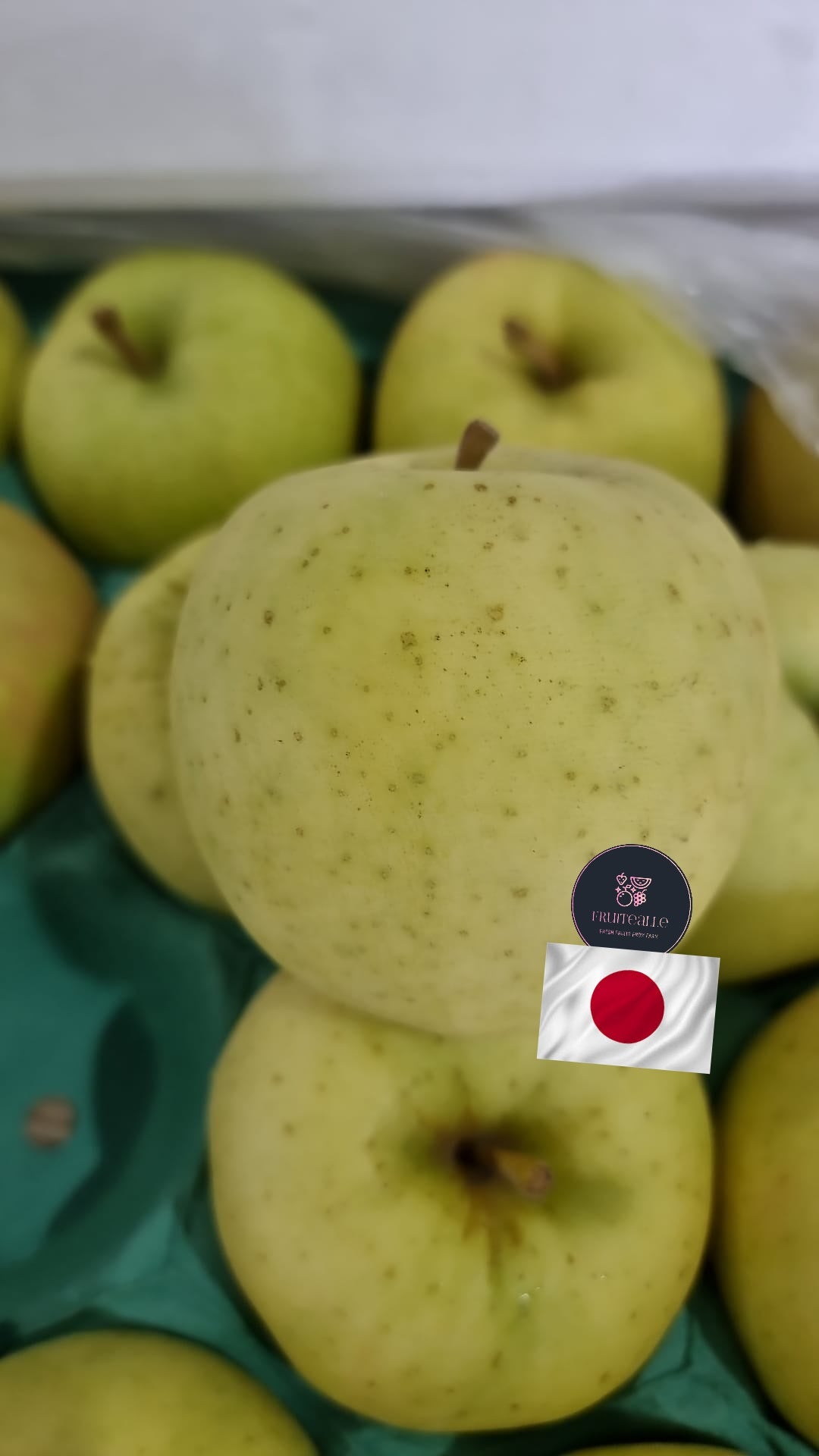 Japan Apple - Toki Apple トキリンゴ