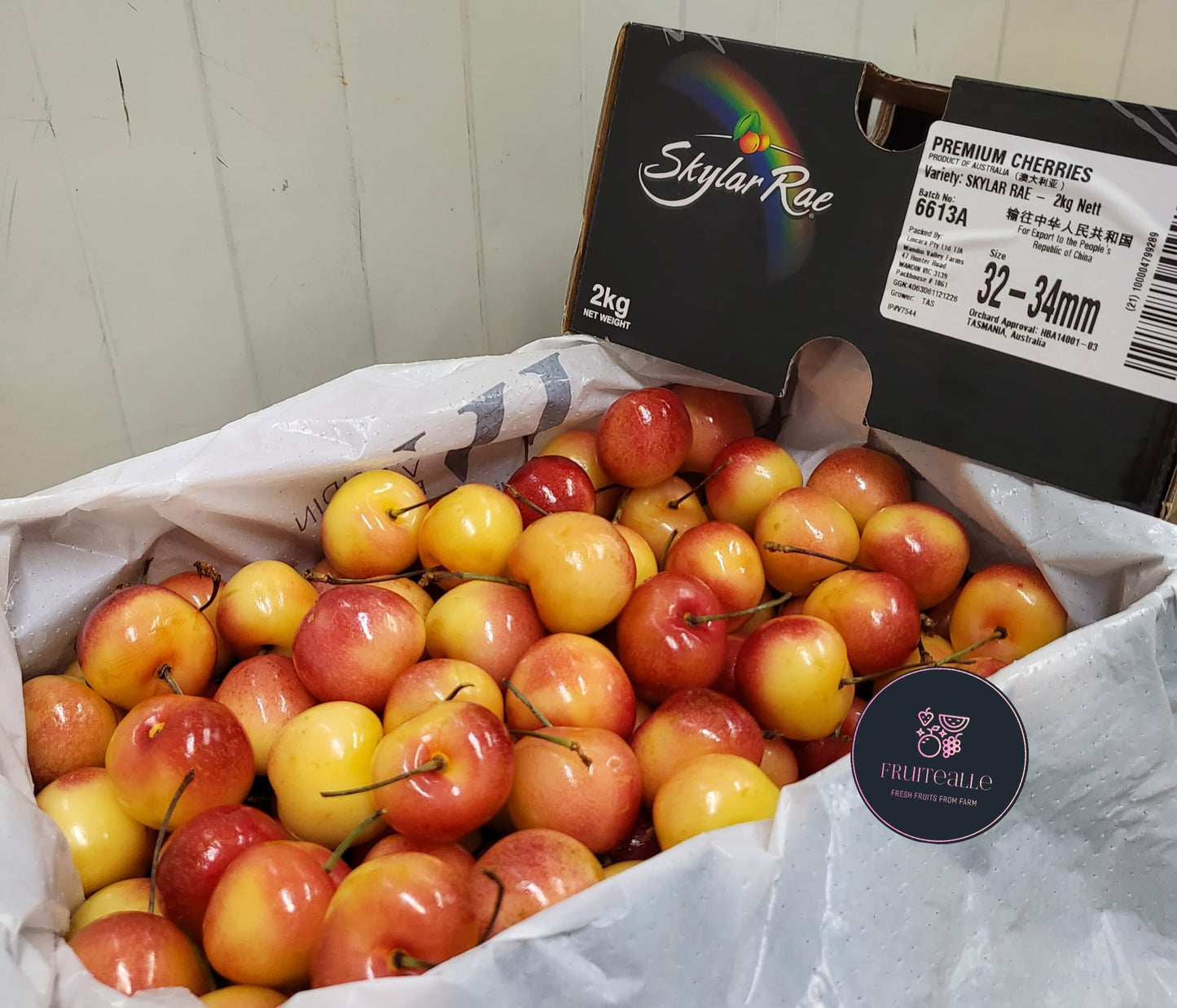 Cherry - USA Skylar Rae [Rainier White] Cherries【30mm - 32mm】Medium Large Size 9R