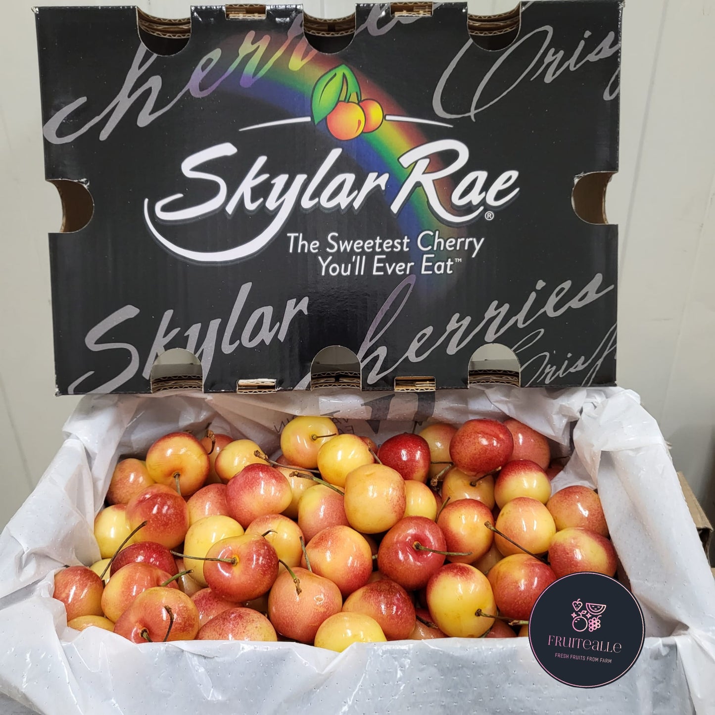 Cherry - USA Skylar Rae [Rainier White] Cherries【28mm - 30mm】Regular Size 9.5R