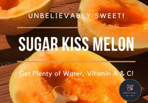 Melon - Sugar Kiss Melon