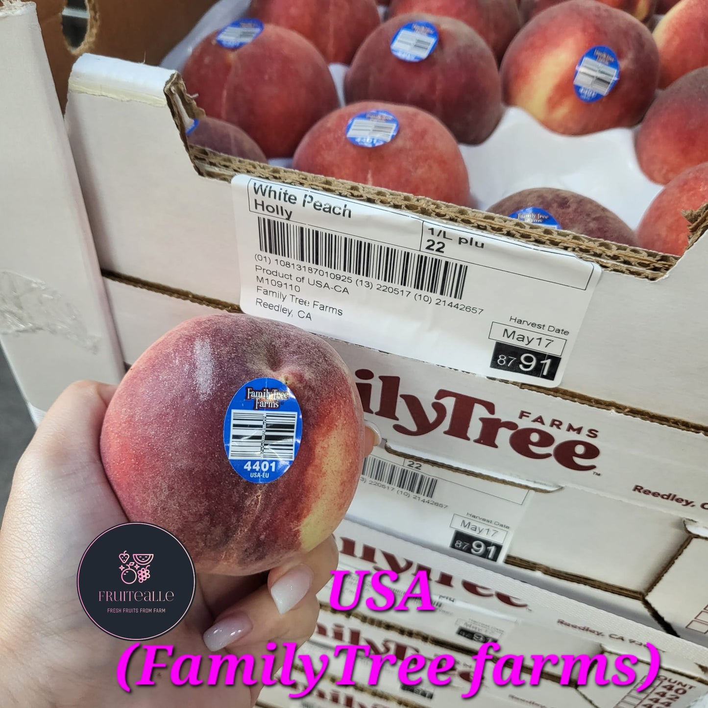 Stone Fruit - USA White Peaches | Family Tree Orchard