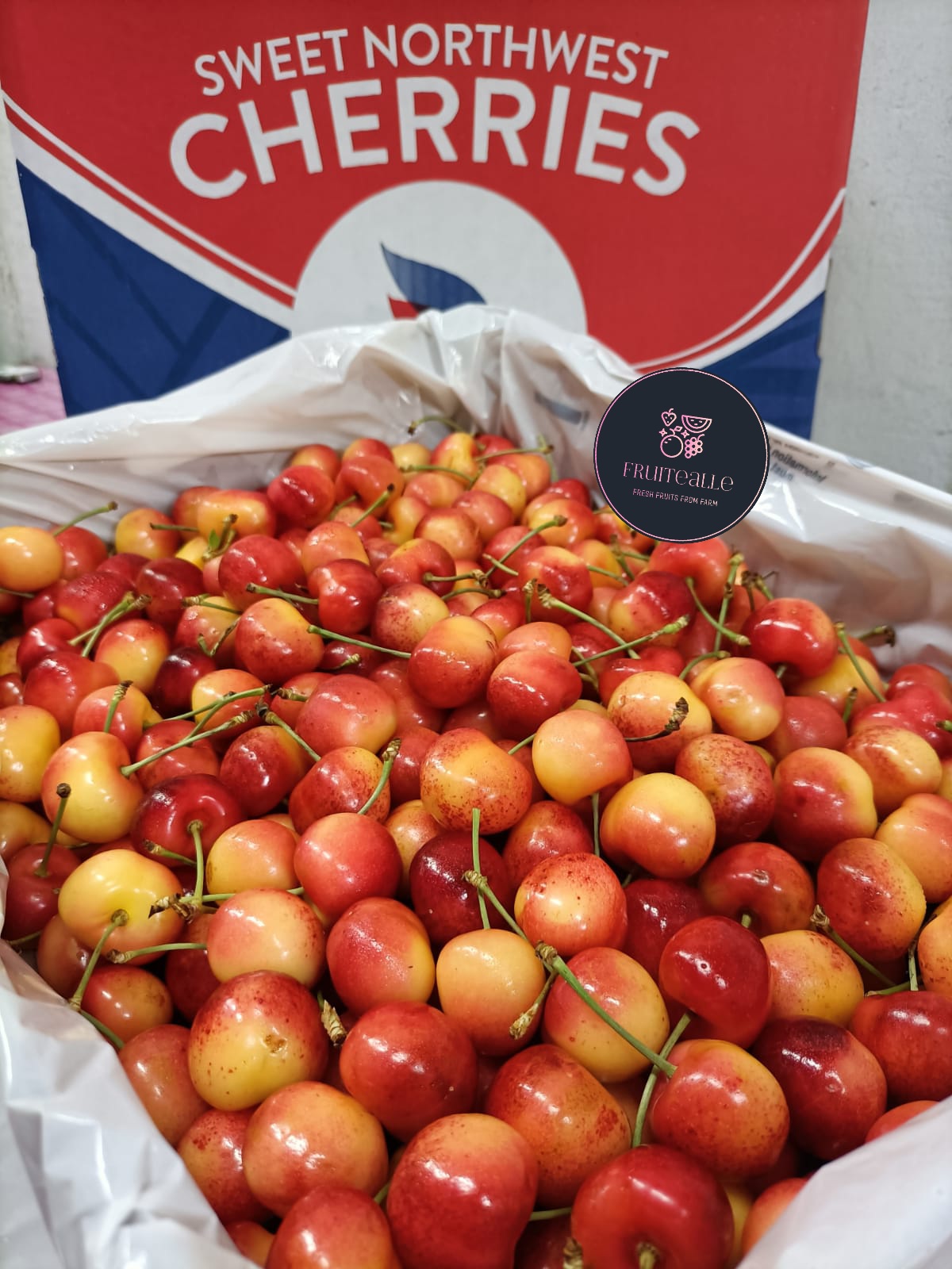 Cherry - USA Rainier White Cherries | CMI Orchard【28mm - 30mm】Regular Size 9.5R