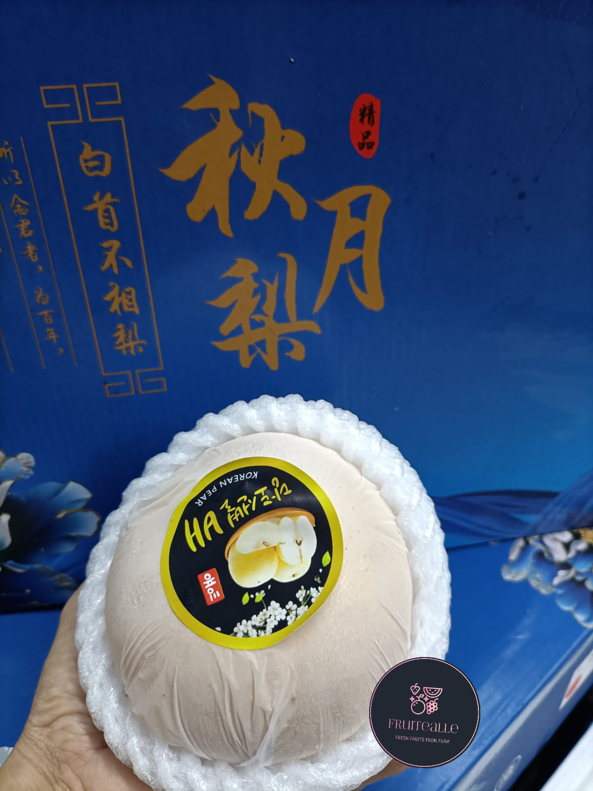 Pear - Qiu Yue Honey Pear 秋月梨 | Size R [Korea Variety]