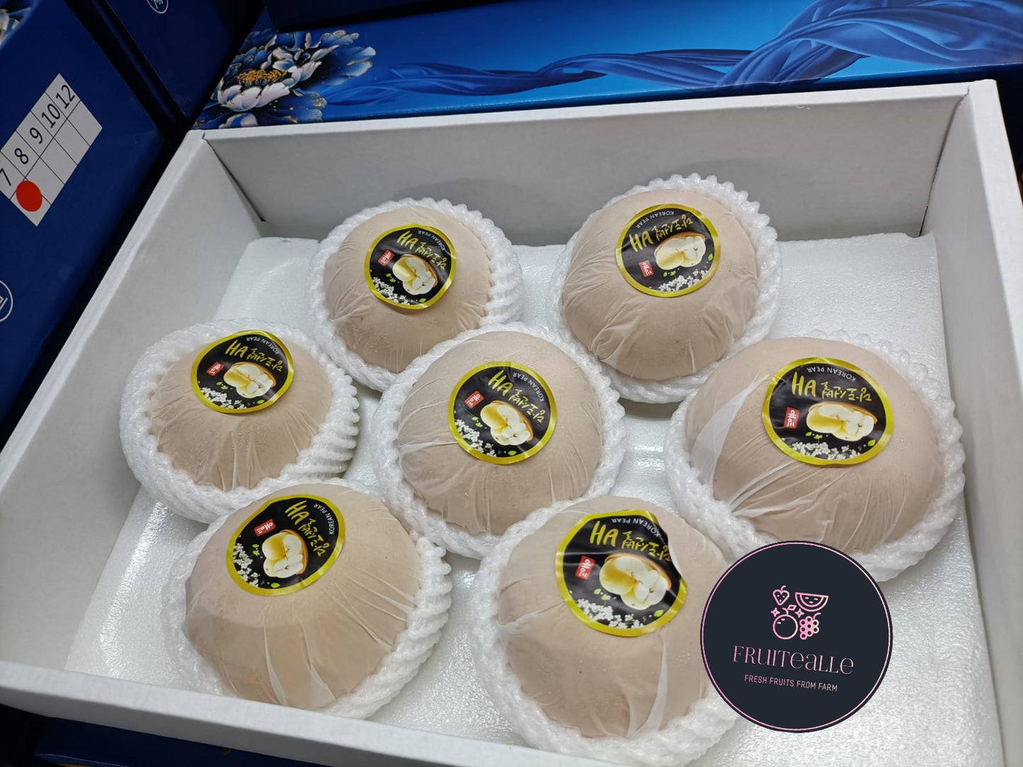 Pear - Qiu Yue Honey Pear 秋月梨 | Size R [Korea Variety]
