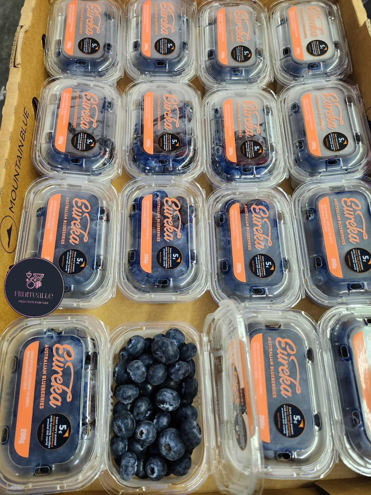 Blueberry - Eureka Sweet Blueberries  200gms