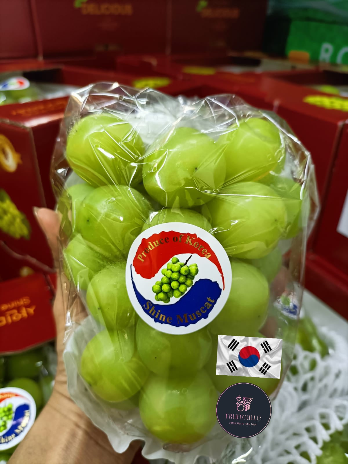 Grapes -［Korea］Shine Muscat Seedless 샤인 머스캣 650gm