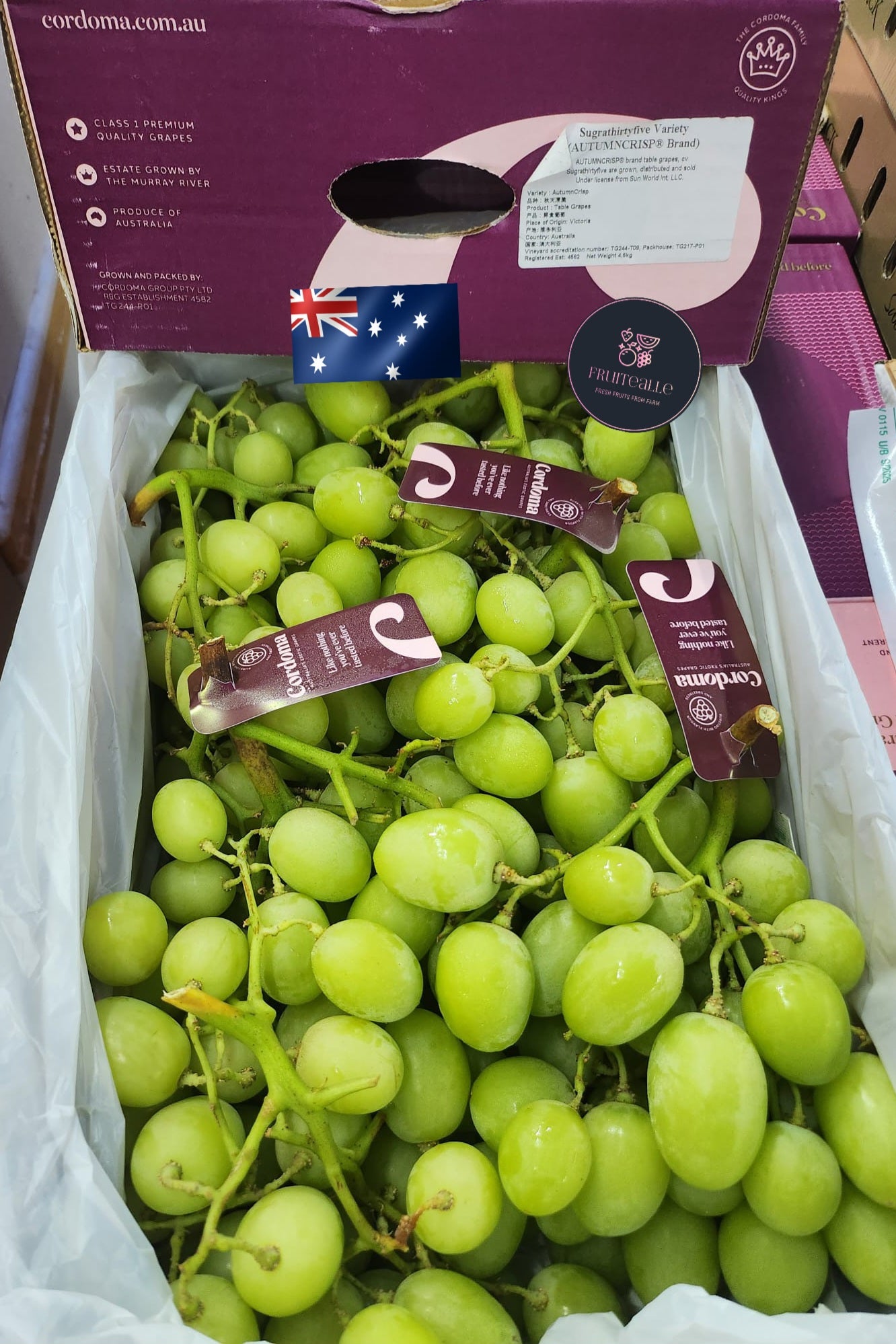 Grapes - Australia Green Seedless [AutumnCrisp®] | Cordoma Orchard