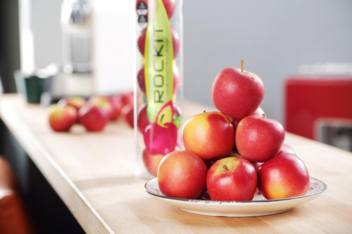 Apple - Rockit Snacking Apples