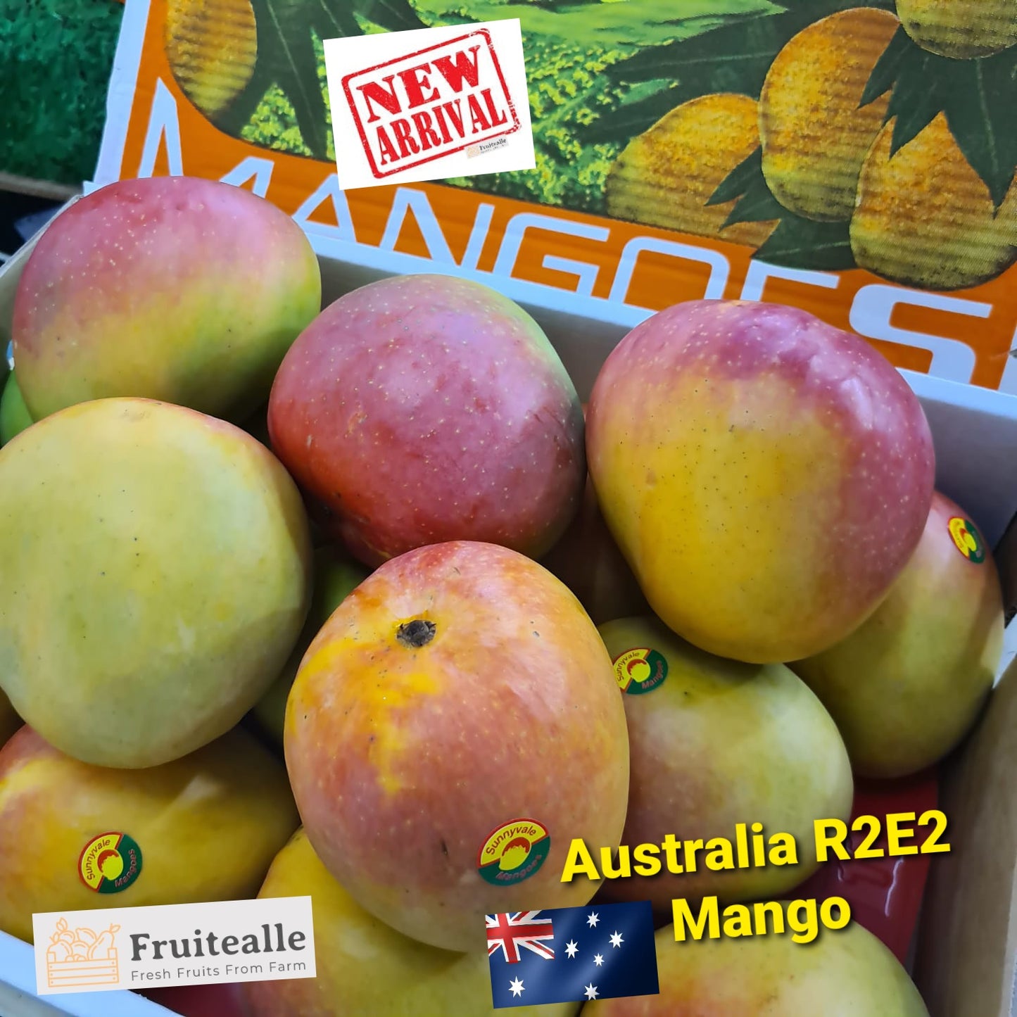 Mango - Australia R2E2 Mango