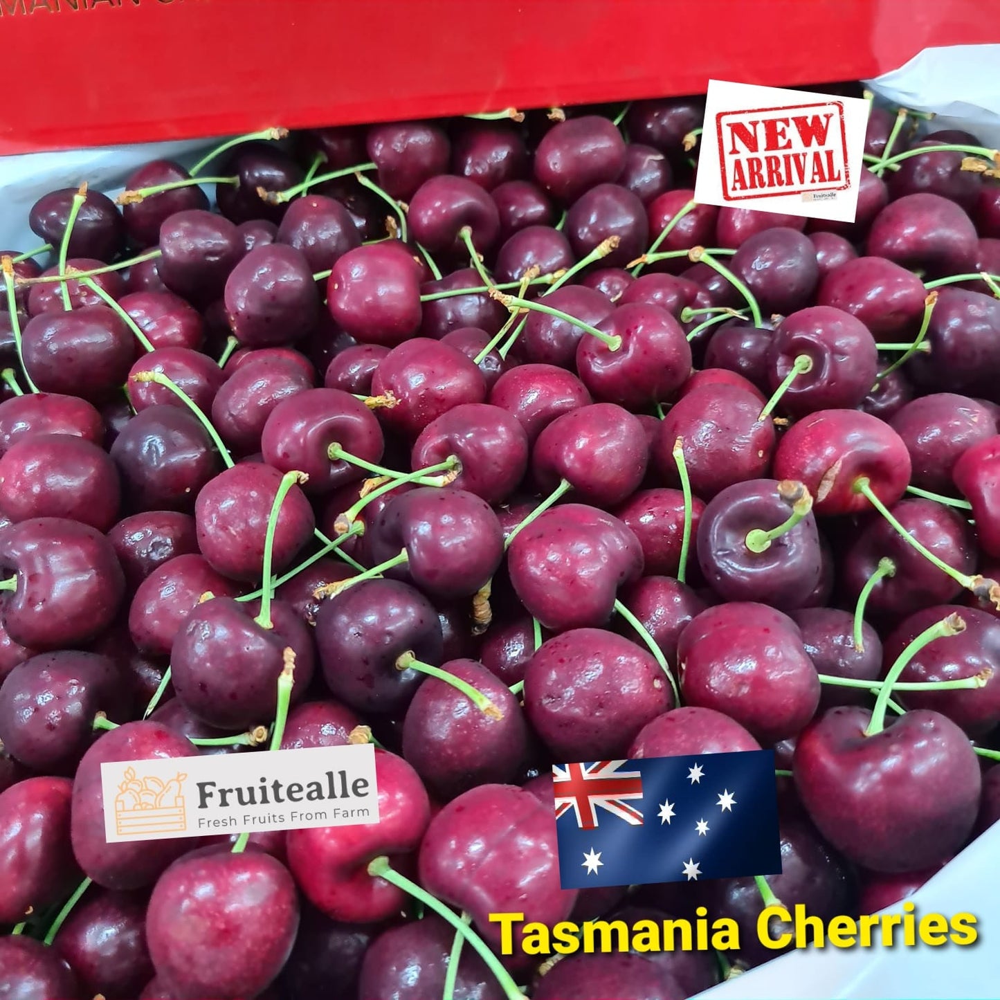 Cherry - Tasmania, Aust Red Cherries | REID Fruits Farm | 30mm Medium