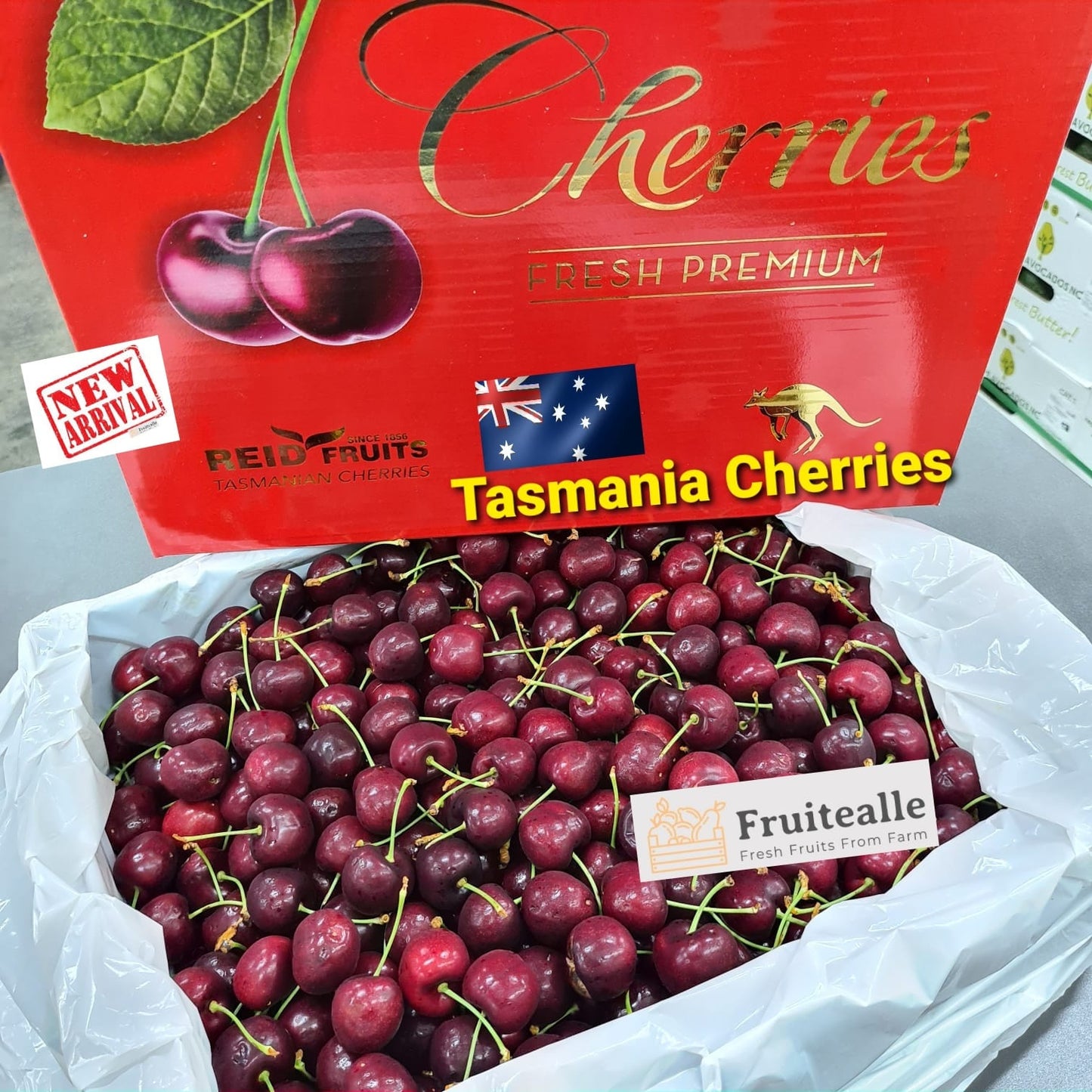 Cherry - Tasmania, Aust Red Cherries | REID Fruits Farm | 30mm Medium