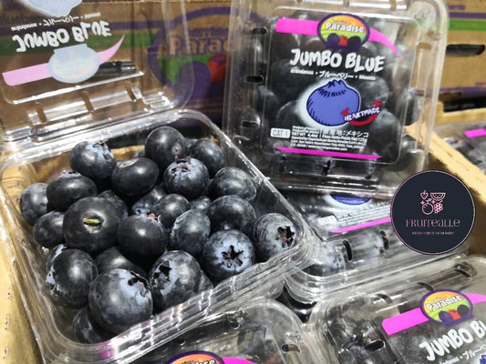 Blueberry - Jumbo Sweet Blueberries from Mexico | Berries Paradise Farm