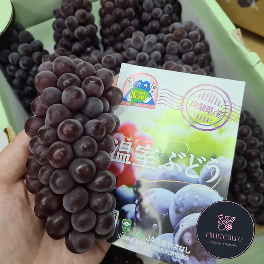 Japan Grapes - Delaware (Champagne) Grapes デラウェア